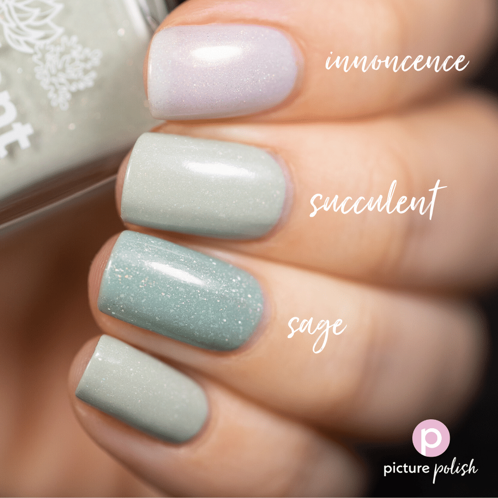Nail Polish Succulent Comparison