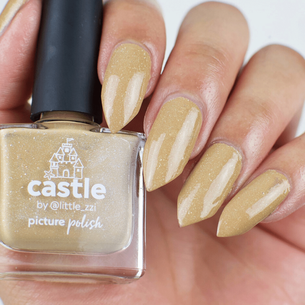 Picture Polish Castle