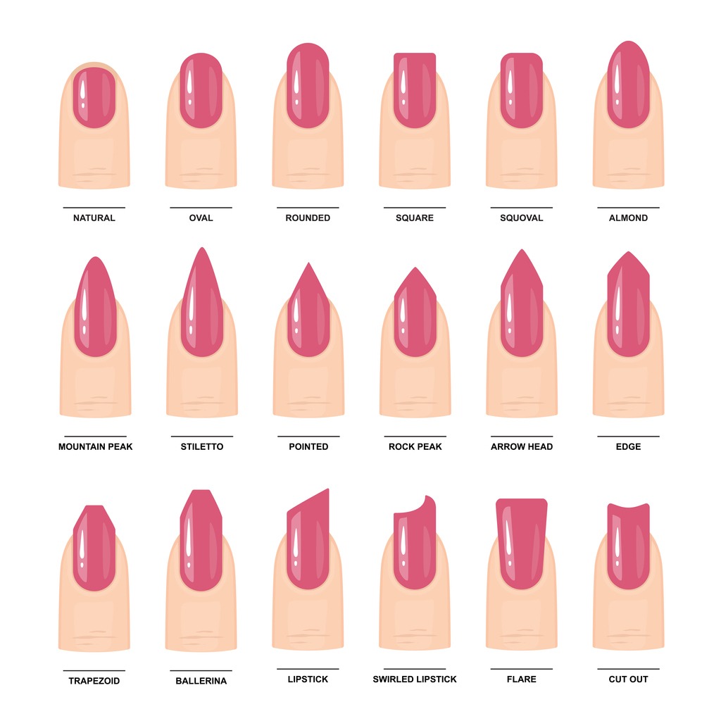 Top 105+ Images What Are The Different Shapes Of Nails Latest 11/2023