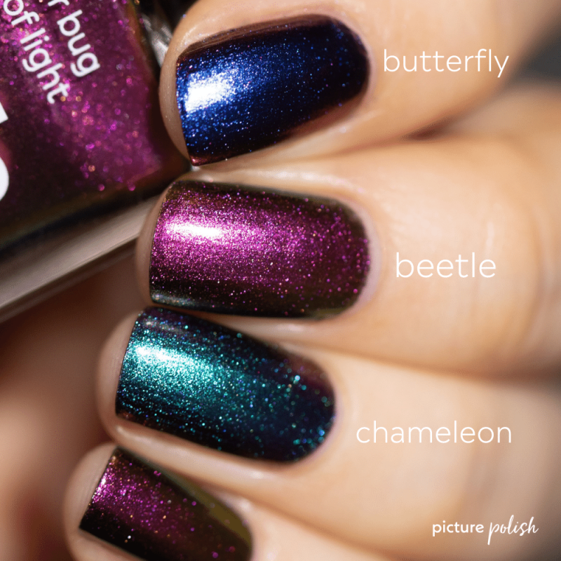 Nail Polish Bundle, MultiChrome Nail Colors Picture Polish