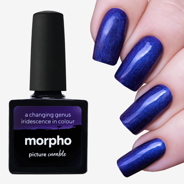 Morpho Curable Lacquer