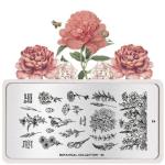 Moyou London Nail Stamping Plate Botanical 26