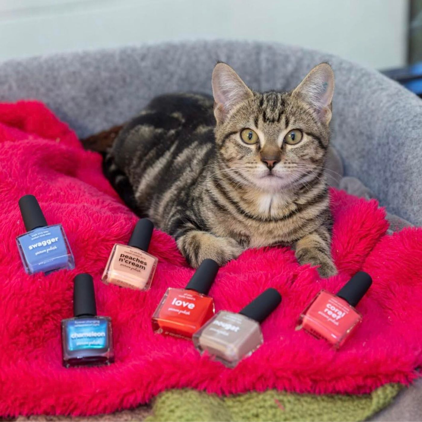 Picture Polish Australian Nail Polish Brand